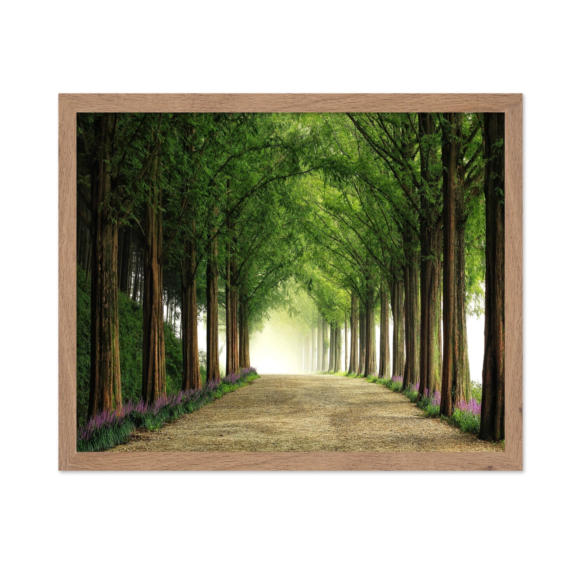 Green Forest Avenue
