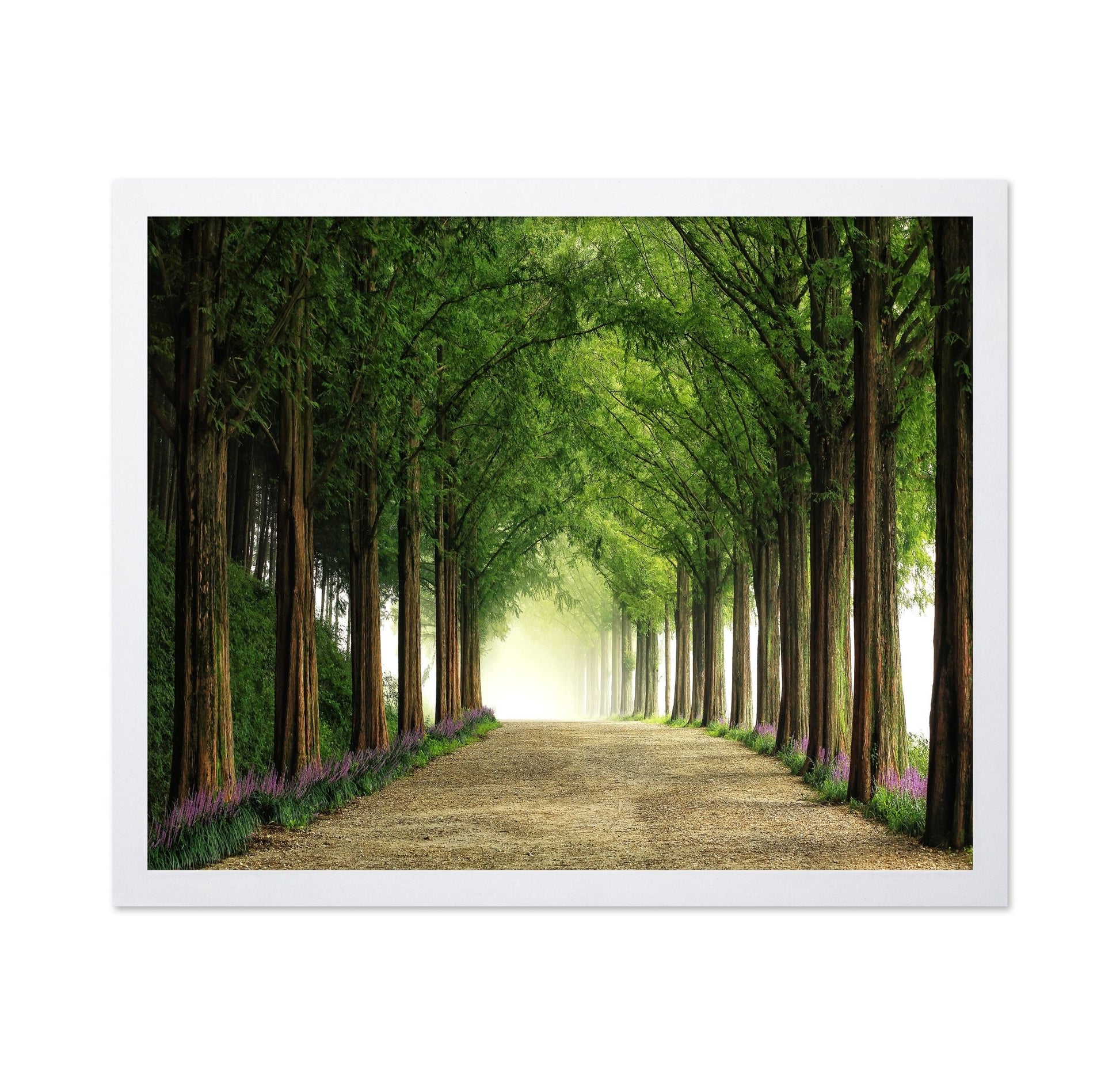 Green Forest Avenue