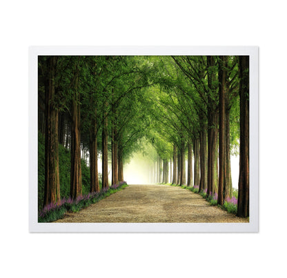 Green Forest Avenue