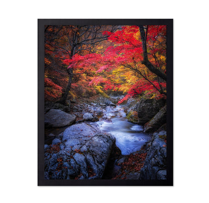 Autumn Stream Forest