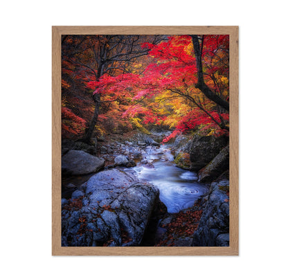 Autumn Stream Forest