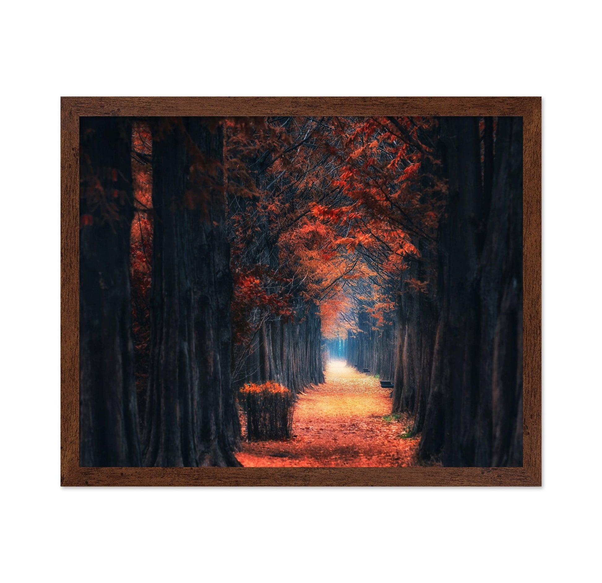 Autumn Forest Path No4