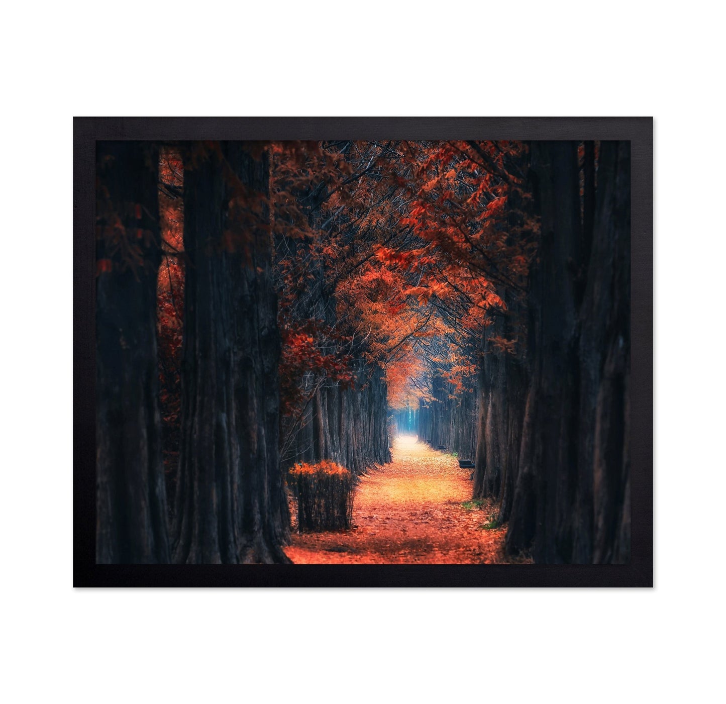 Autumn Forest Path No4