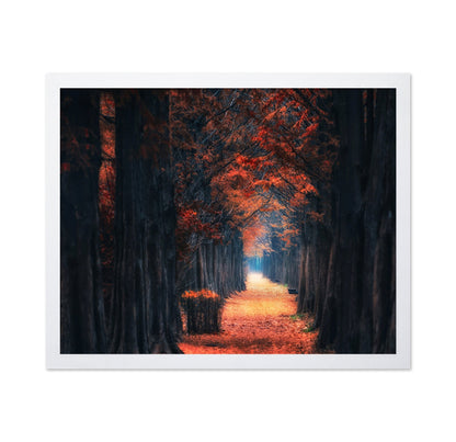 Autumn Forest Path No4