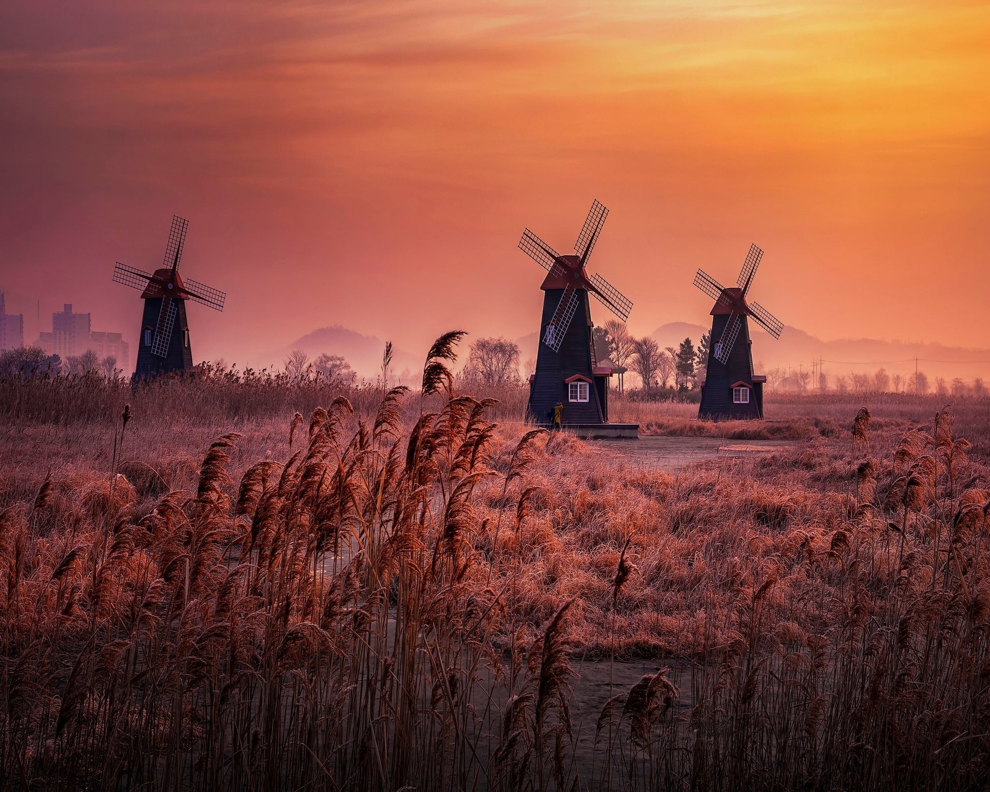 Windmills At Sunrise