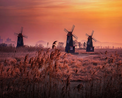 Windmills At Sunrise