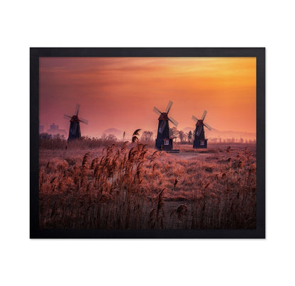 Windmills At Sunrise