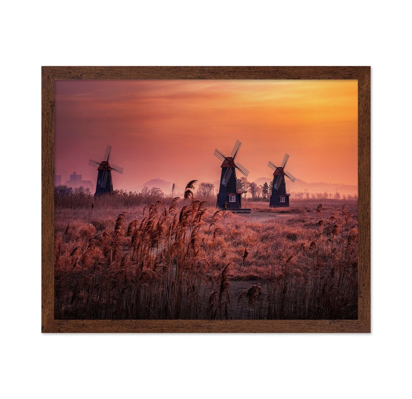 Windmills At Sunrise