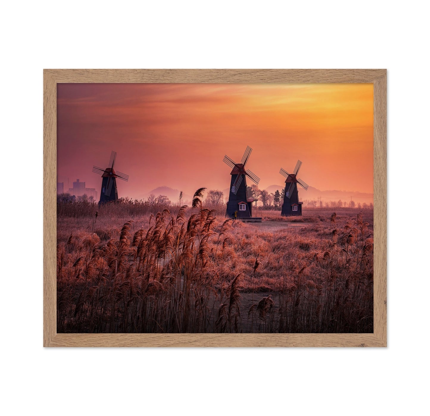 Windmills At Sunrise