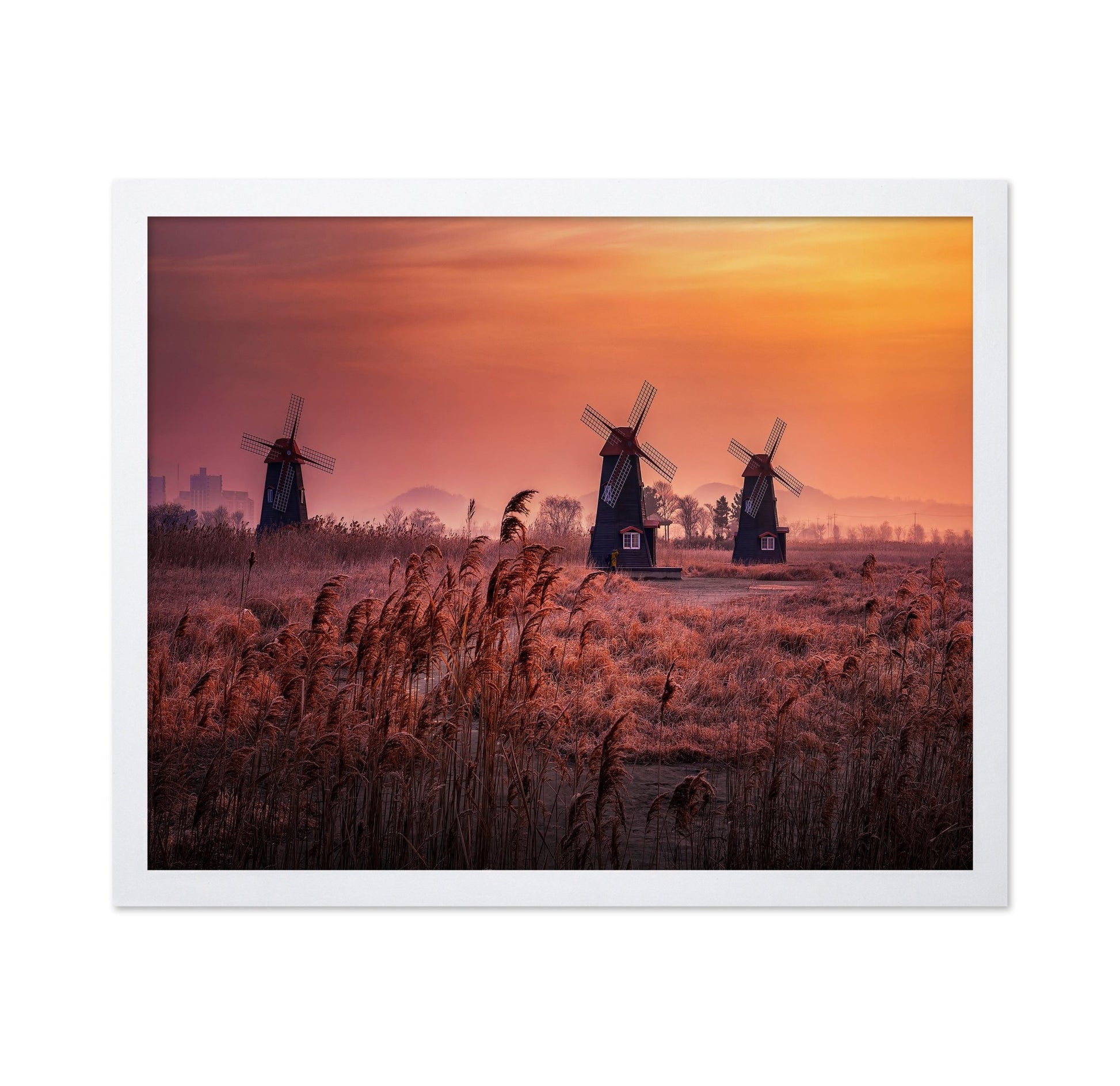 Windmills At Sunrise