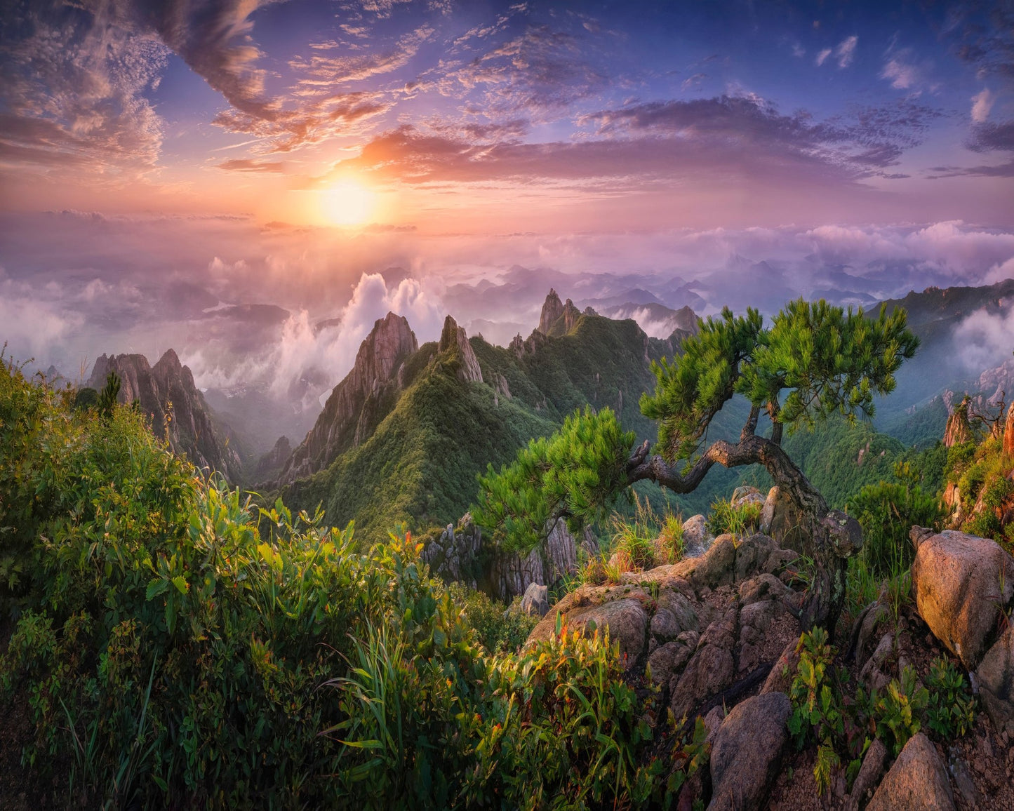 Golden Mountain Sunrise