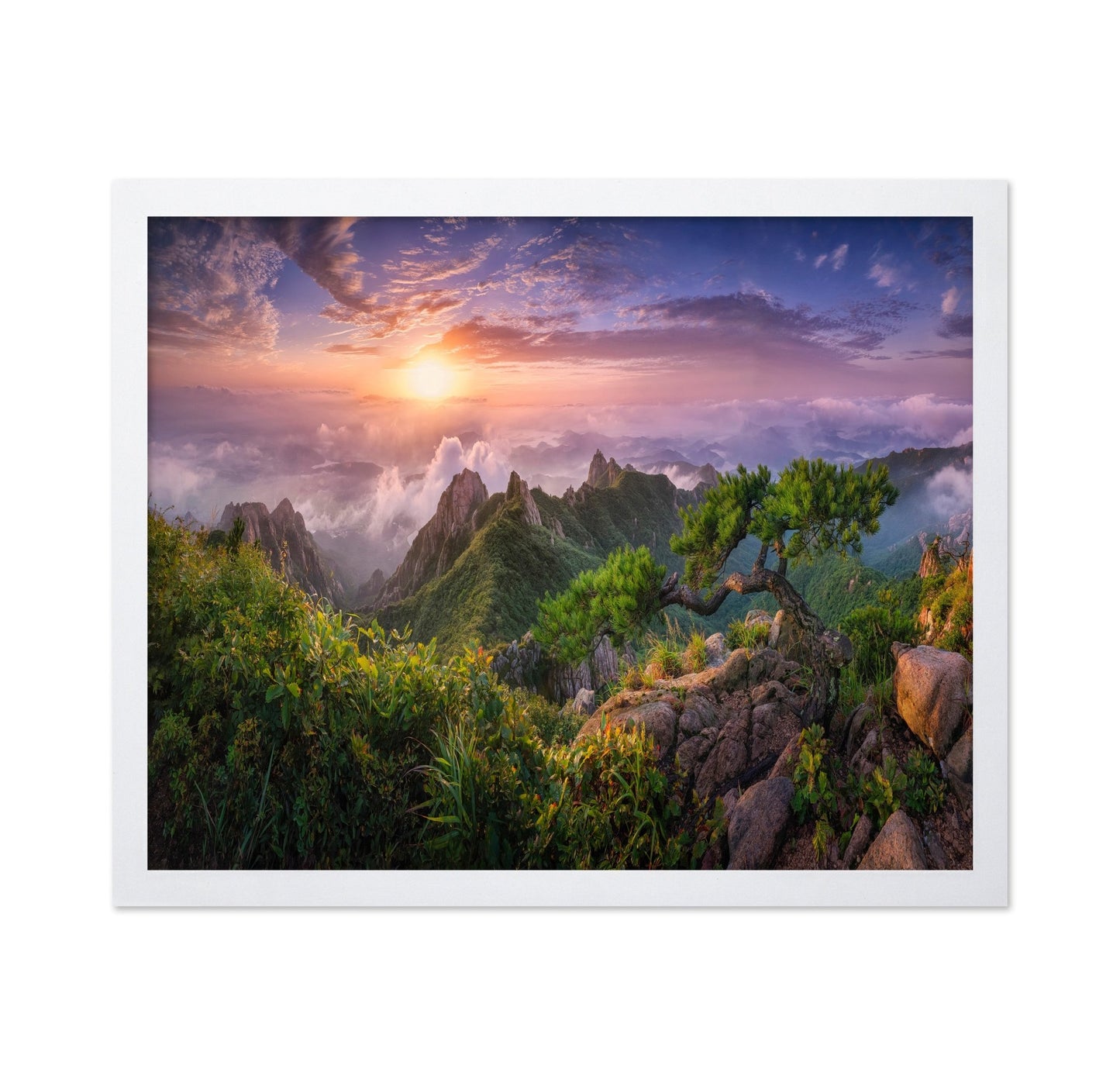 Golden Mountain Sunrise