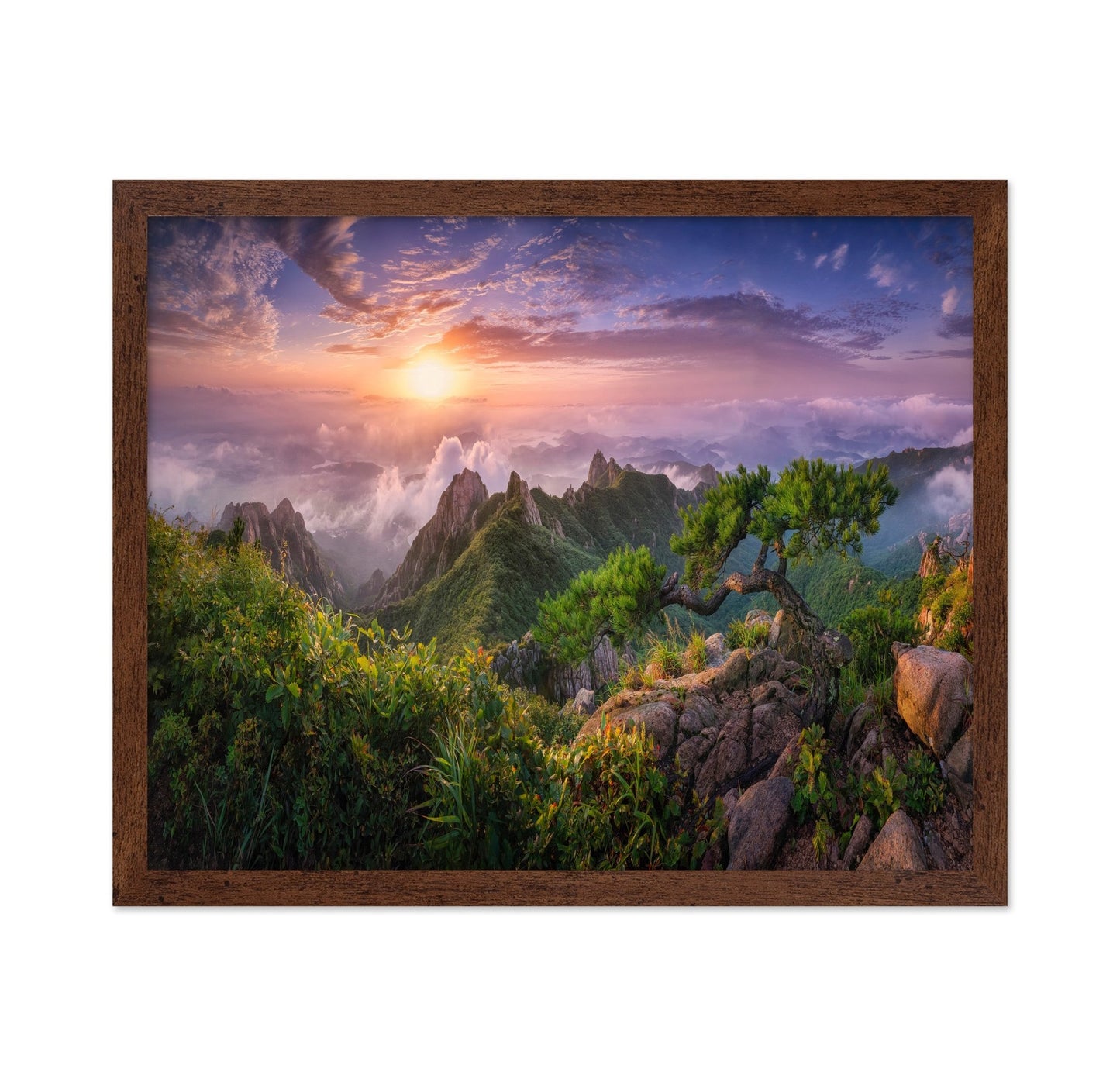 Golden Mountain Sunrise