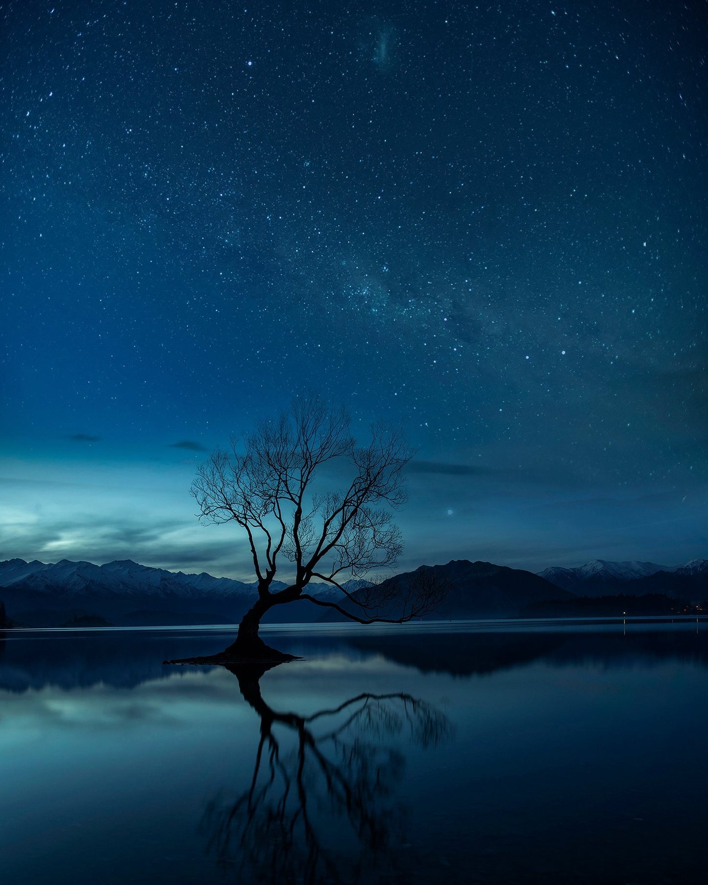 Lone Tree Night Sky No2
