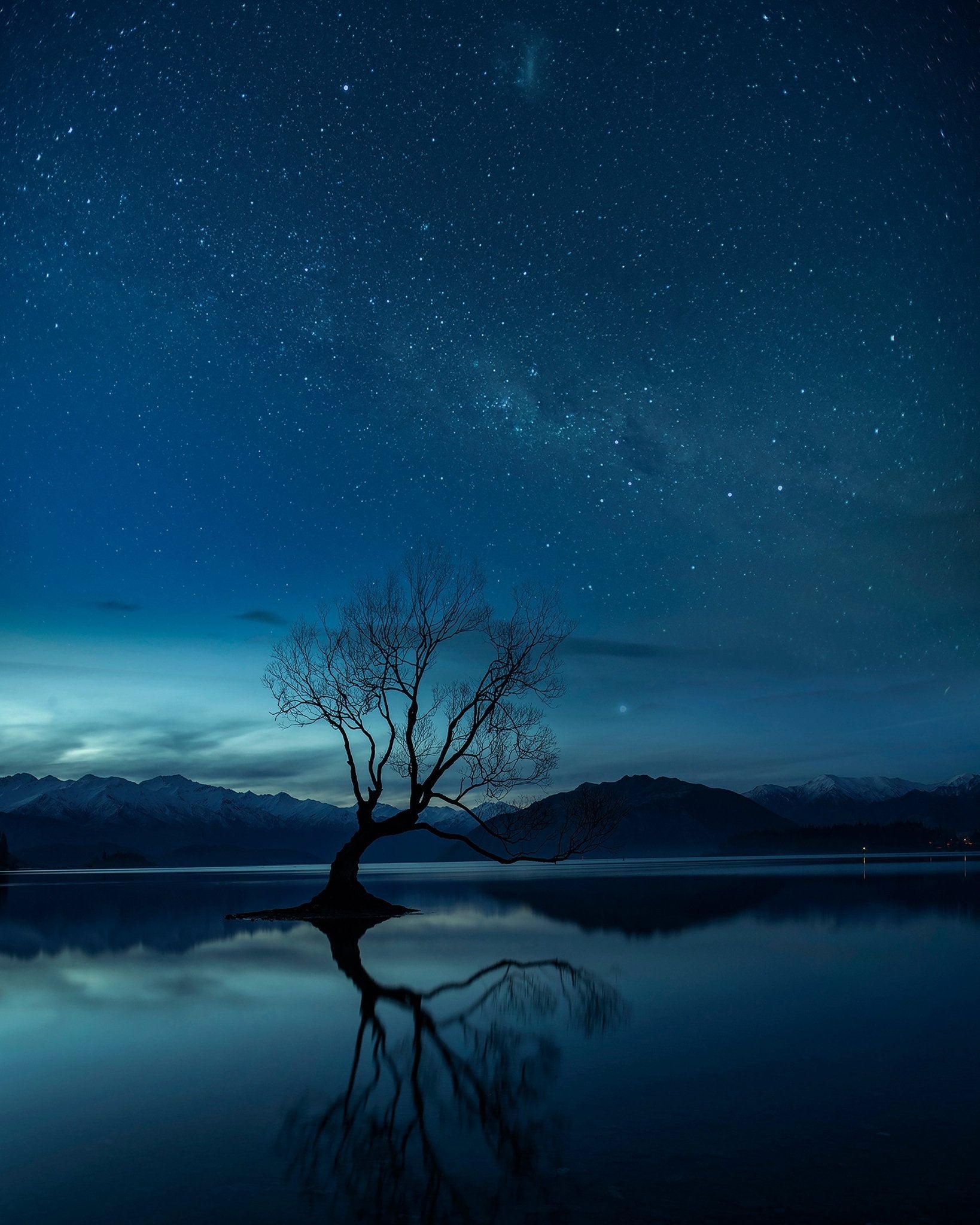 Lone Tree Night Sky No2