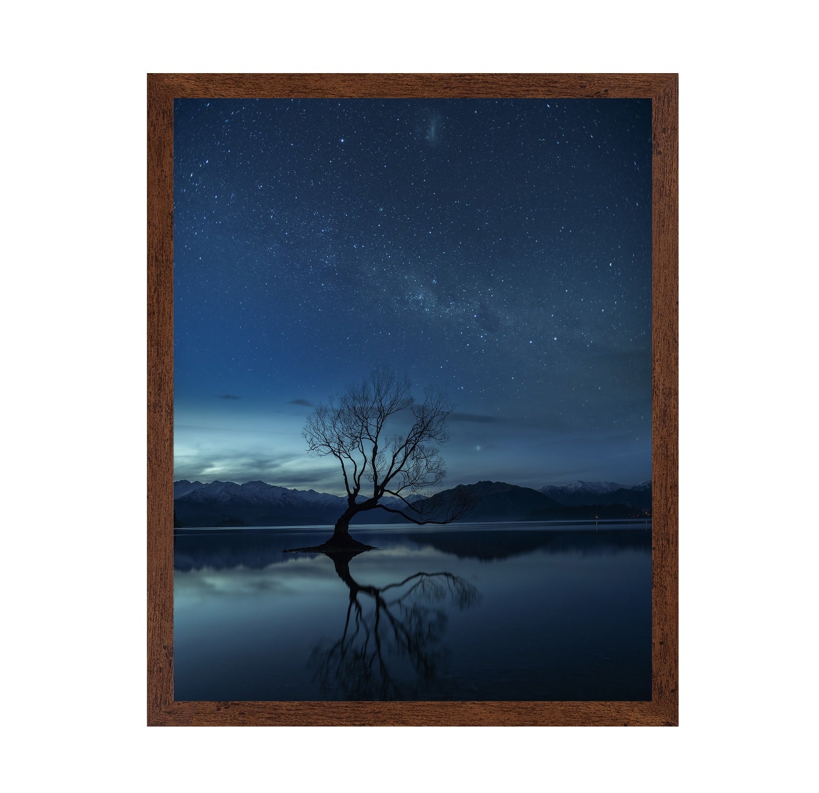 Lone Tree Night Sky No2