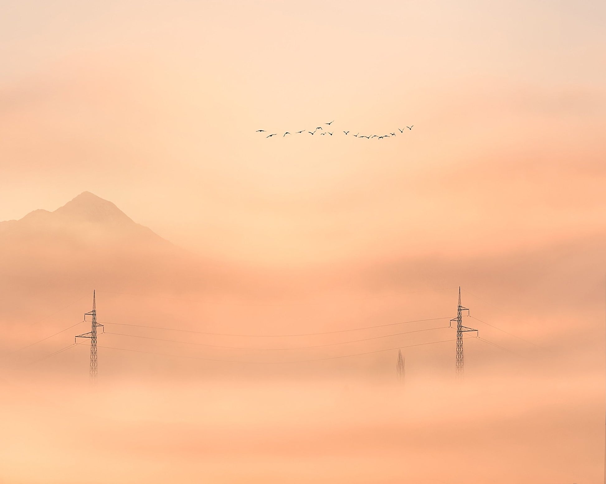 Birds Over Mist Horizon