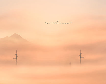 Birds Over Mist Horizon