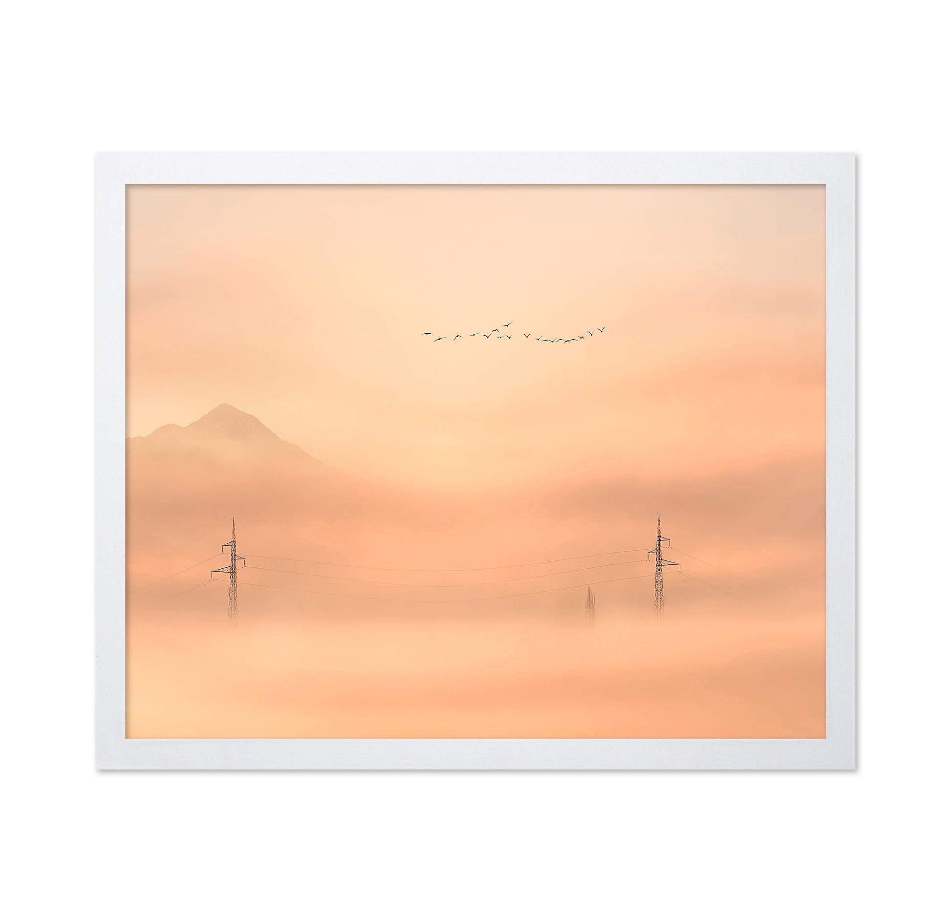 Birds Over Mist Horizon