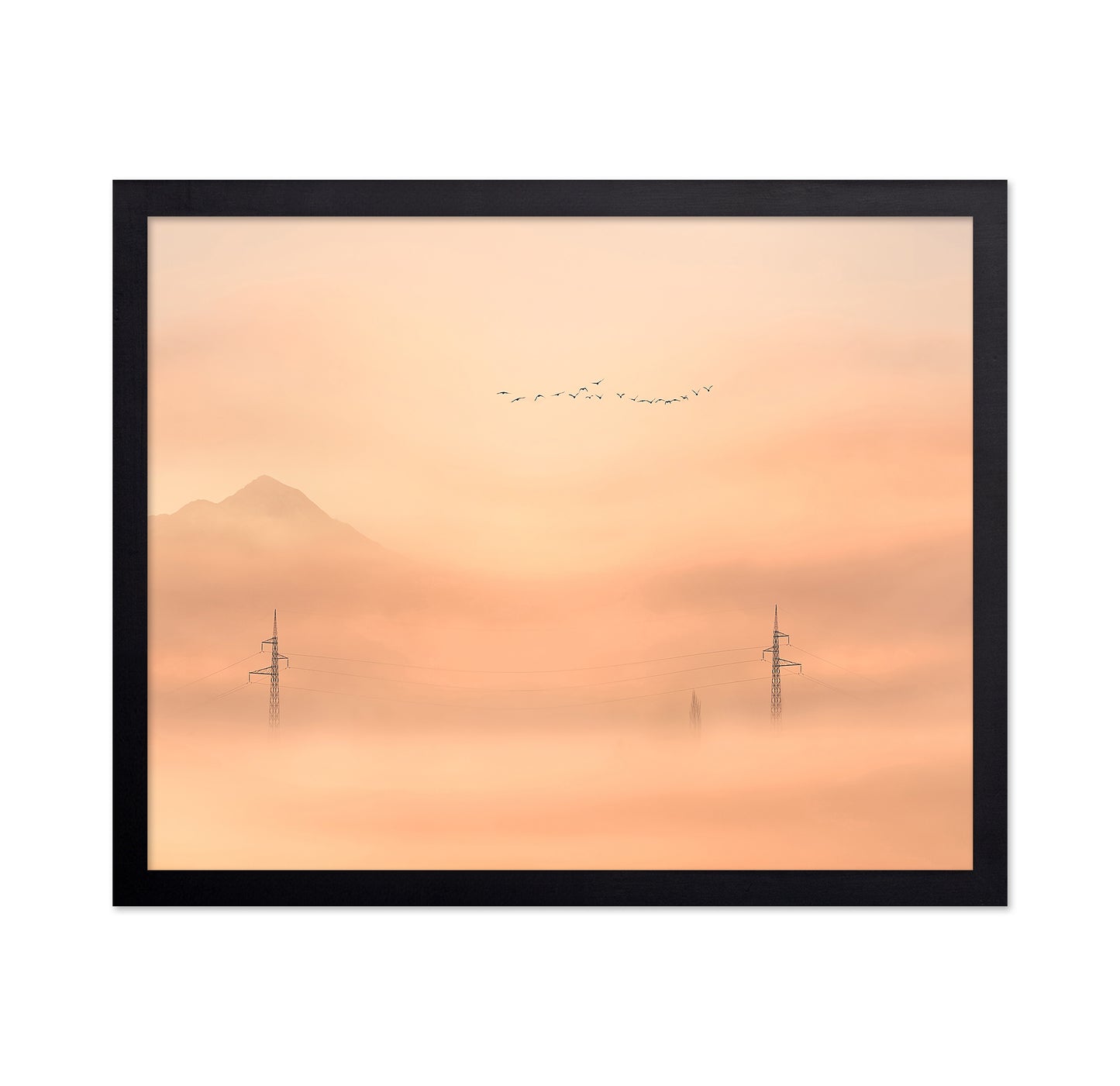 Birds Over Mist Horizon