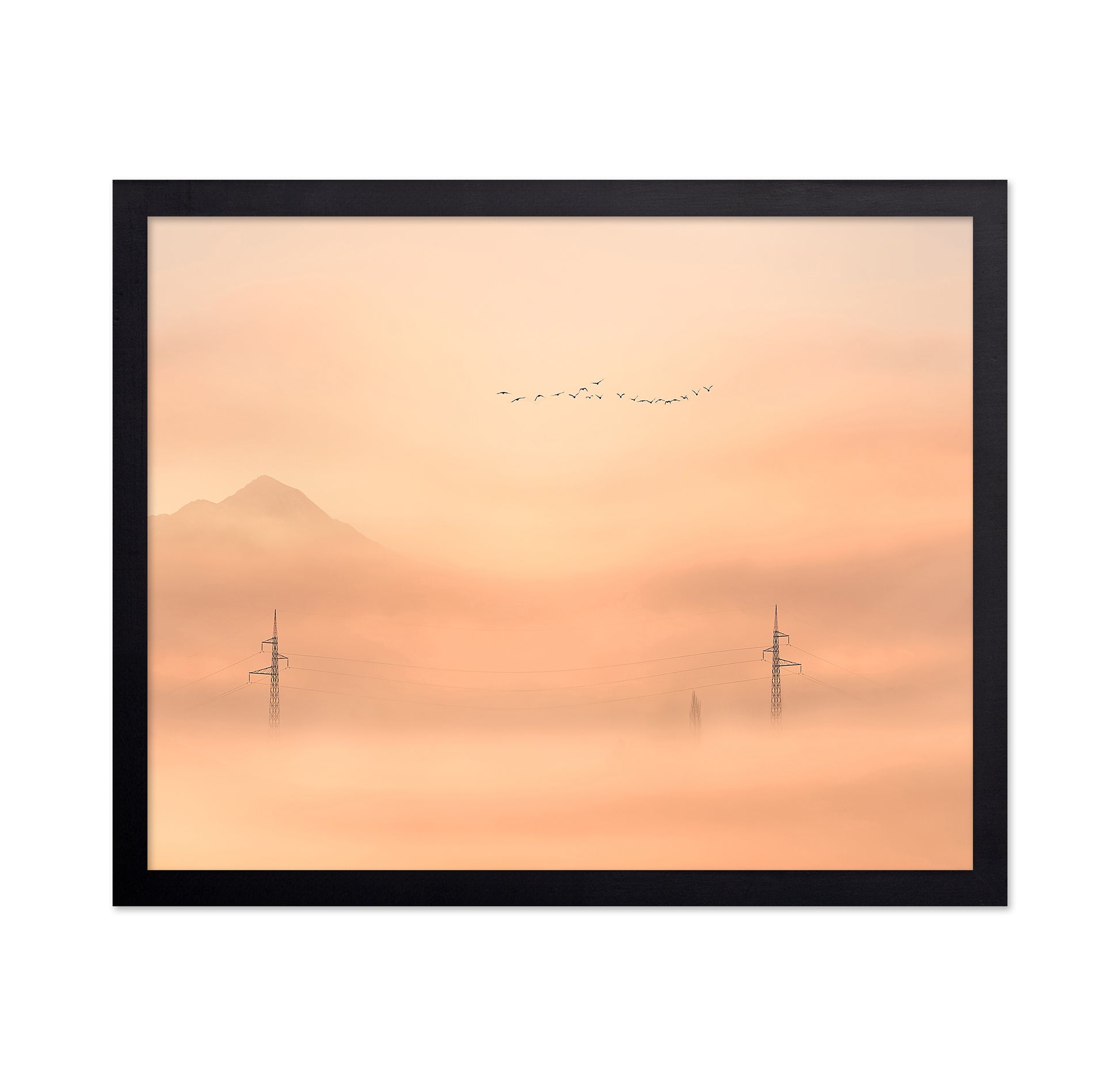 Birds Over Mist Horizon