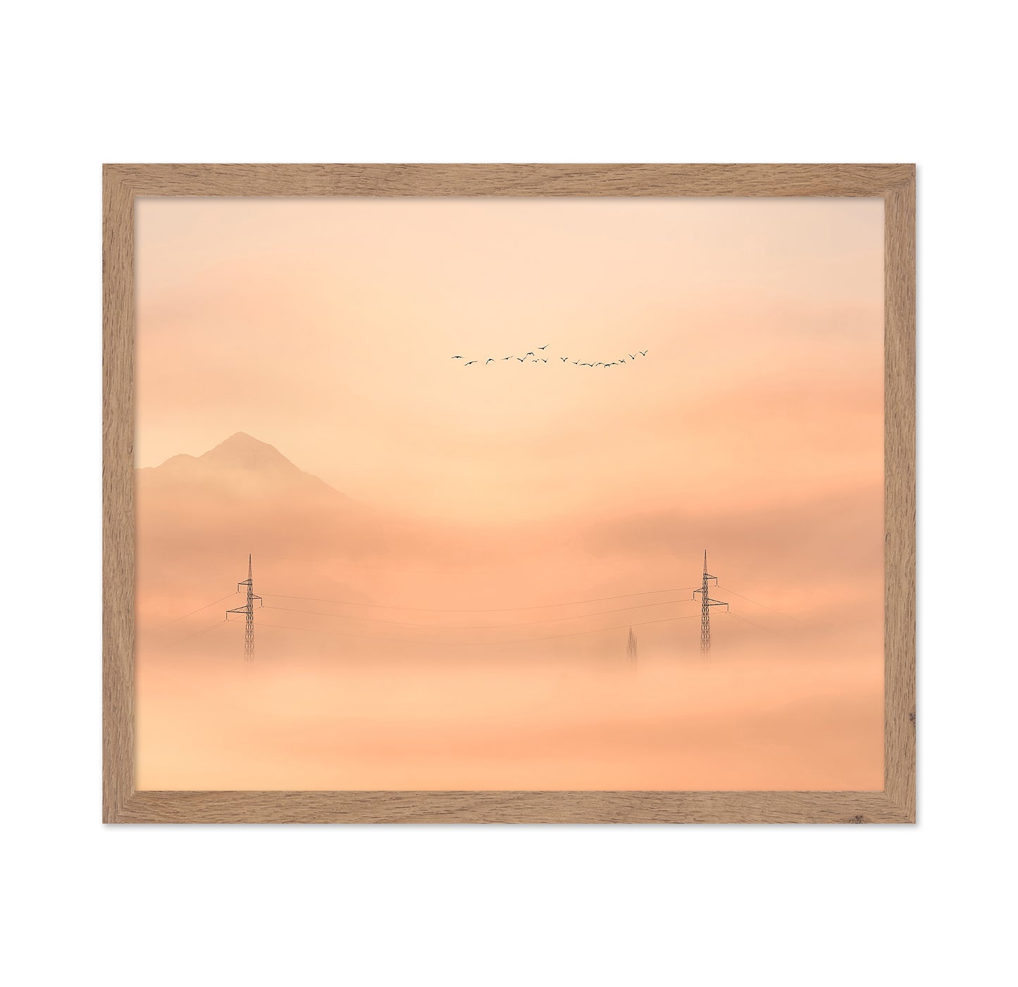 Birds Over Mist Horizon