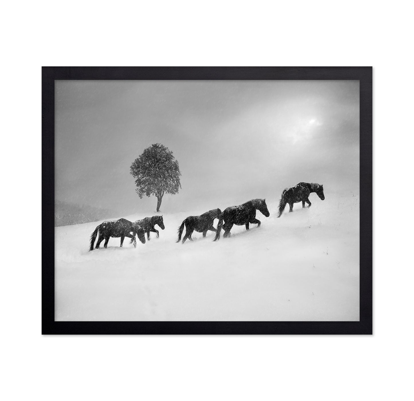 Horses In Snow Storm