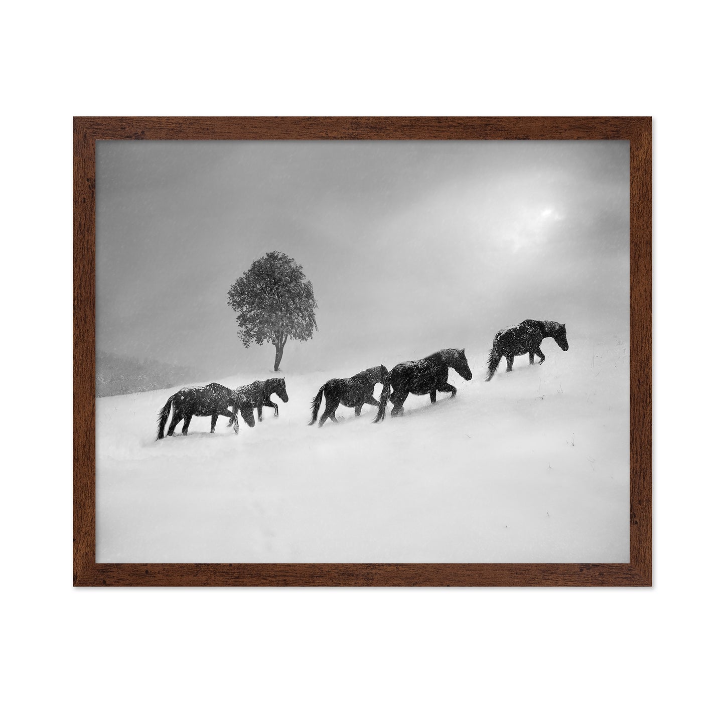 Horses In Snow Storm