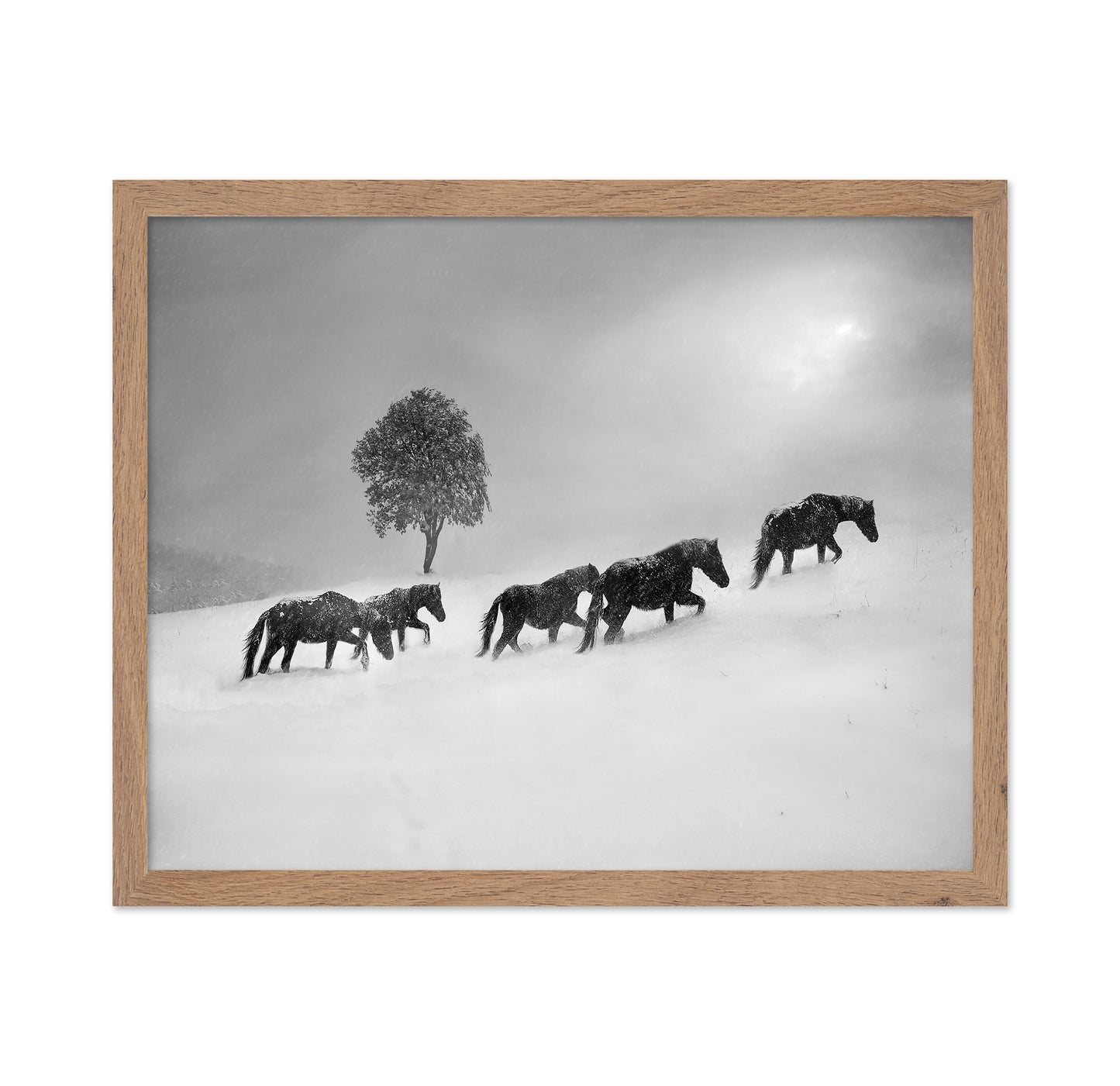 Horses In Snow Storm