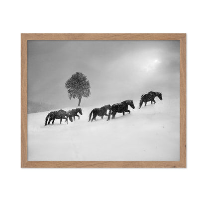 Horses In Snow Storm