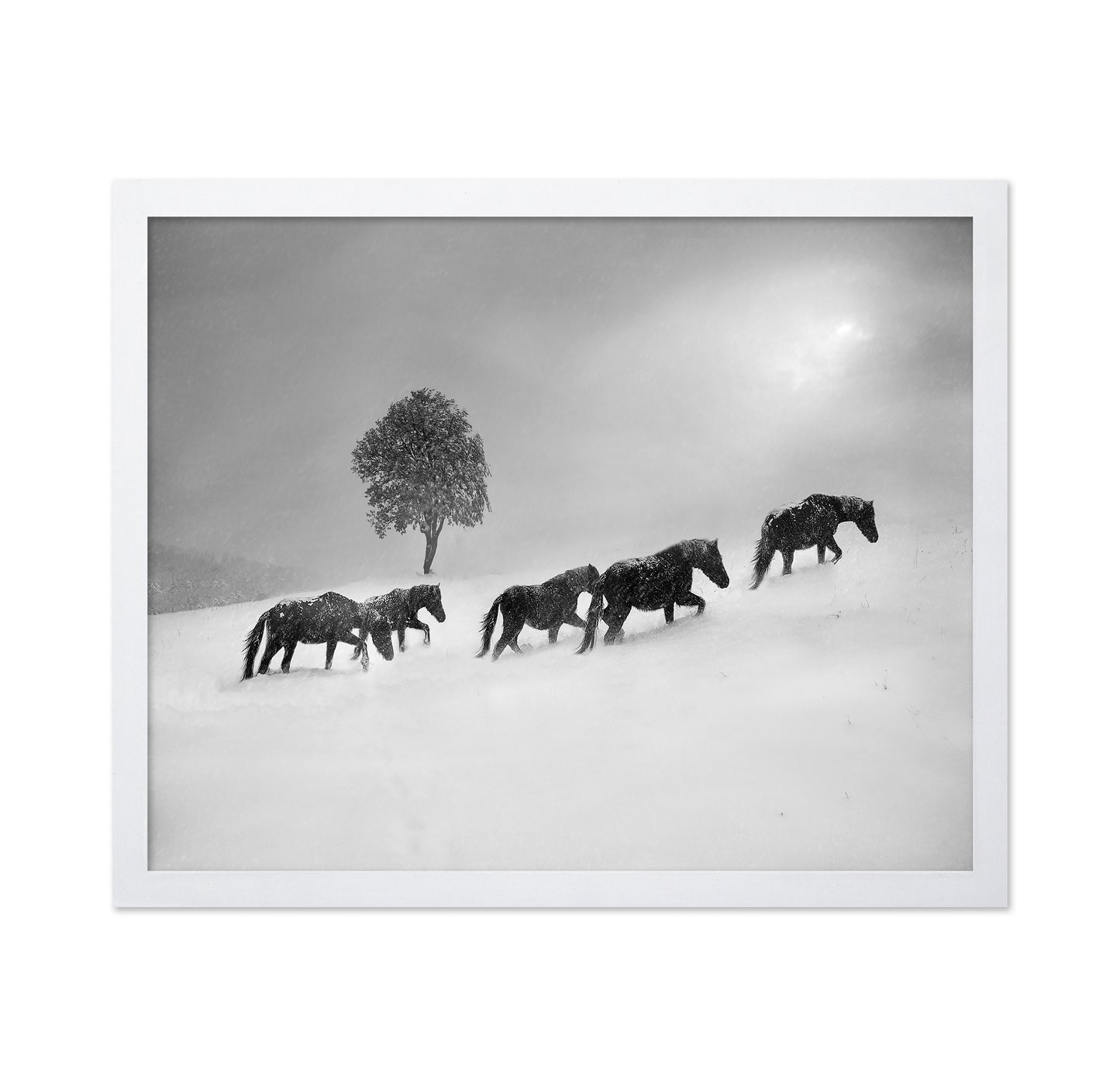 Horses In Snow Storm