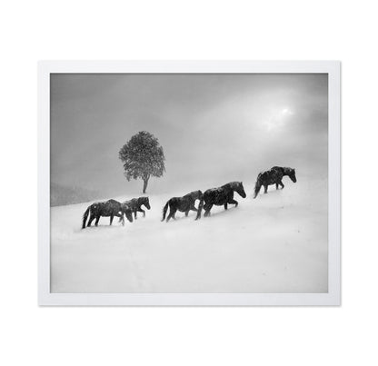 Horses In Snow Storm