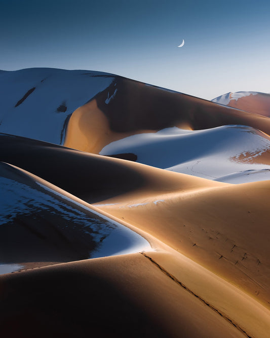 Moonlit Sand Horizons