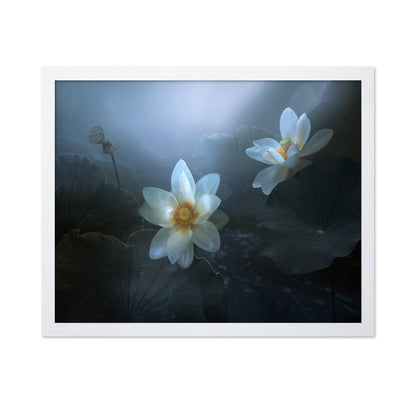 Lotus In Blue Light