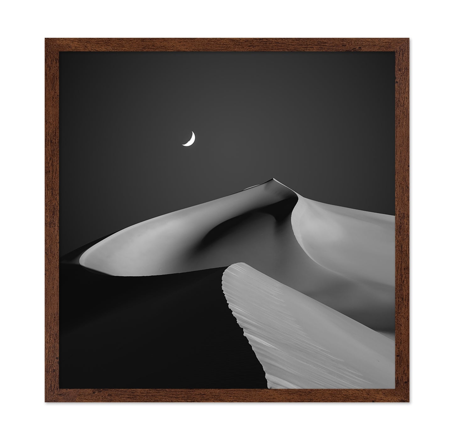 Moon Over Silent Dune