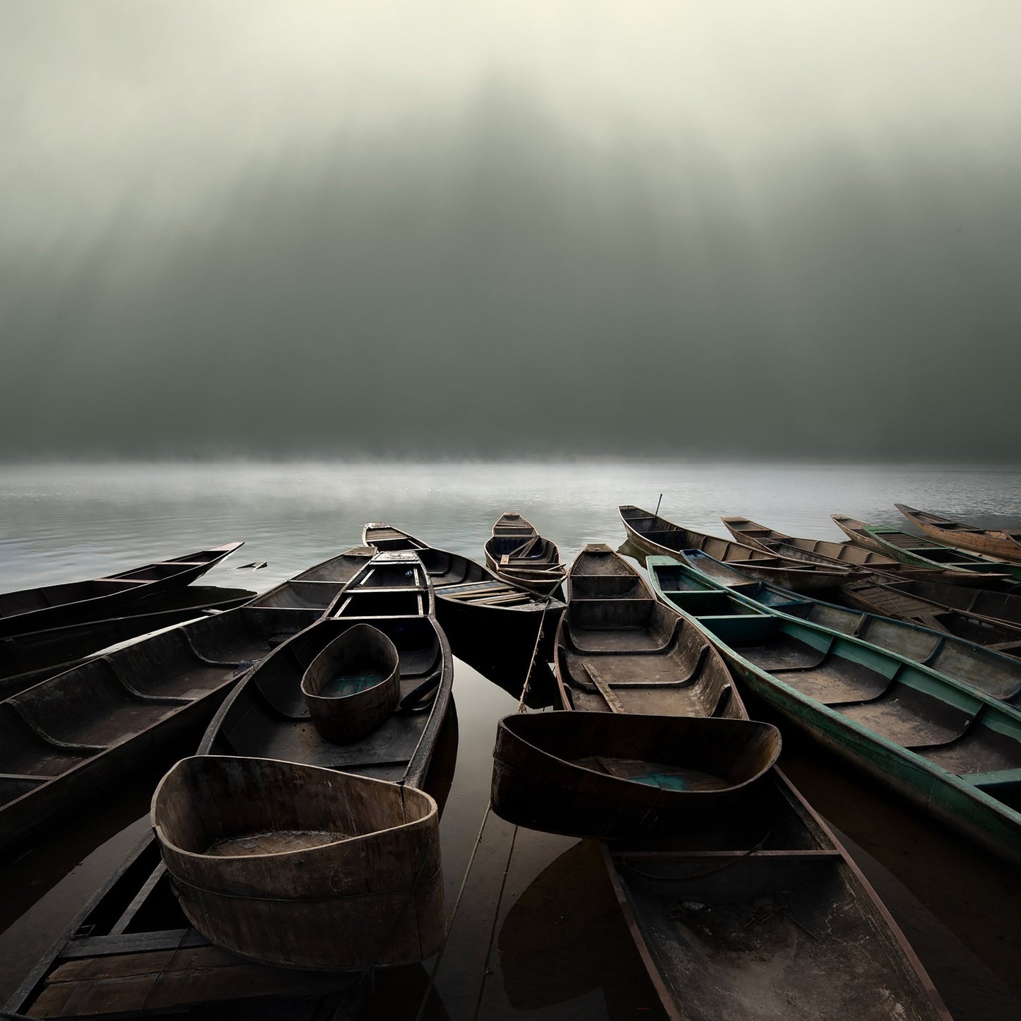Misty Boat Gathering