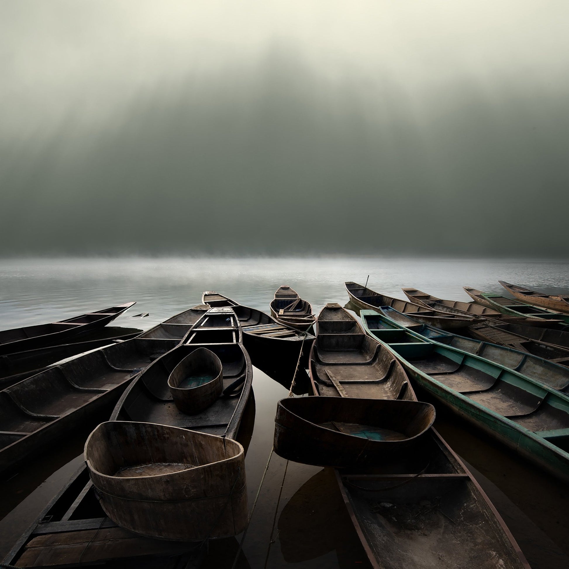 Misty Boat Gathering