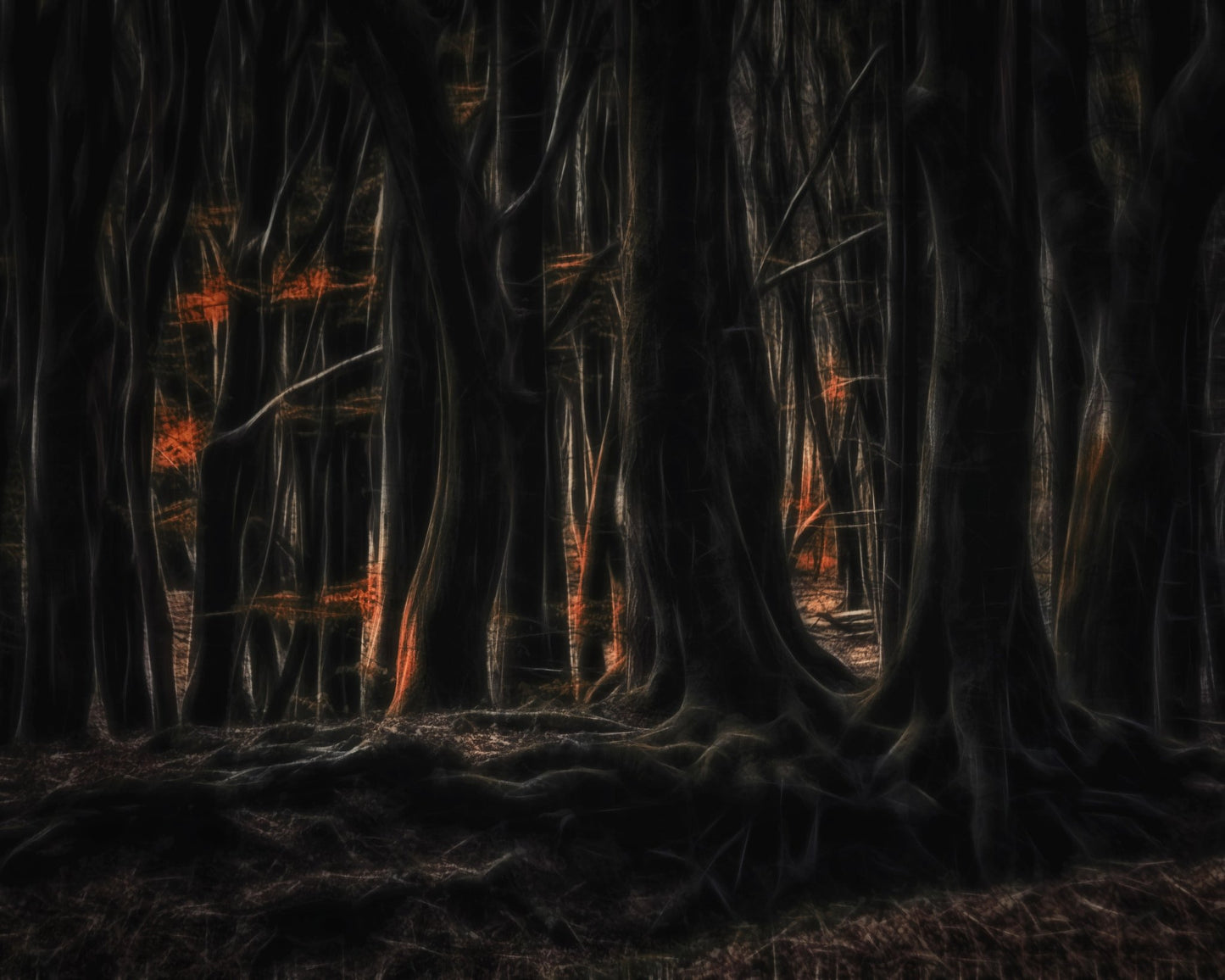 Shadowed Forest Glow