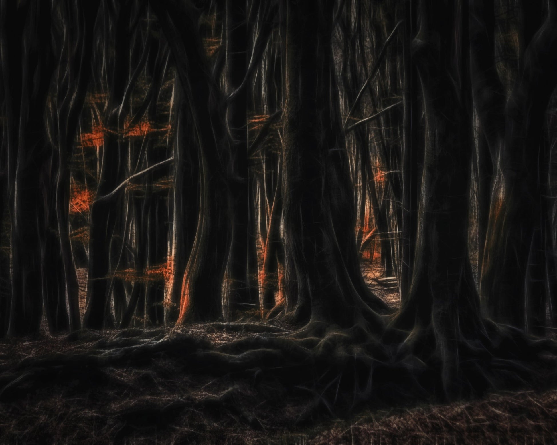 Shadowed Forest Glow