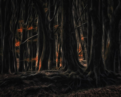 Shadowed Forest Glow