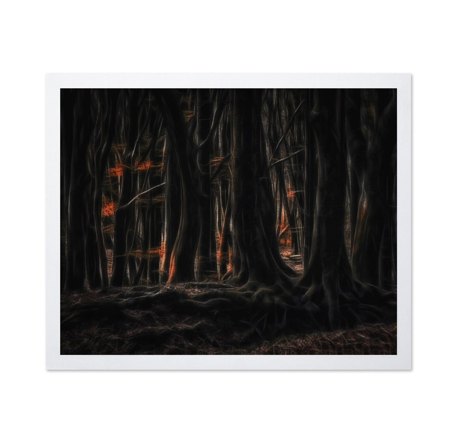 Shadowed Forest Glow