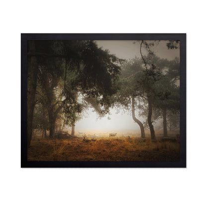 Misty Forest Sheep