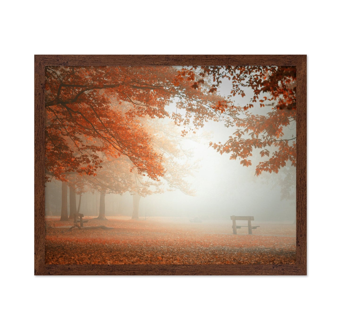 Autumn Mist Park