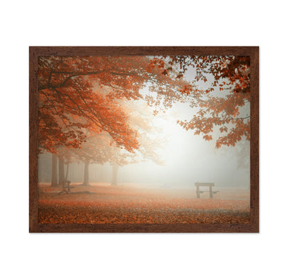 Autumn Mist Park