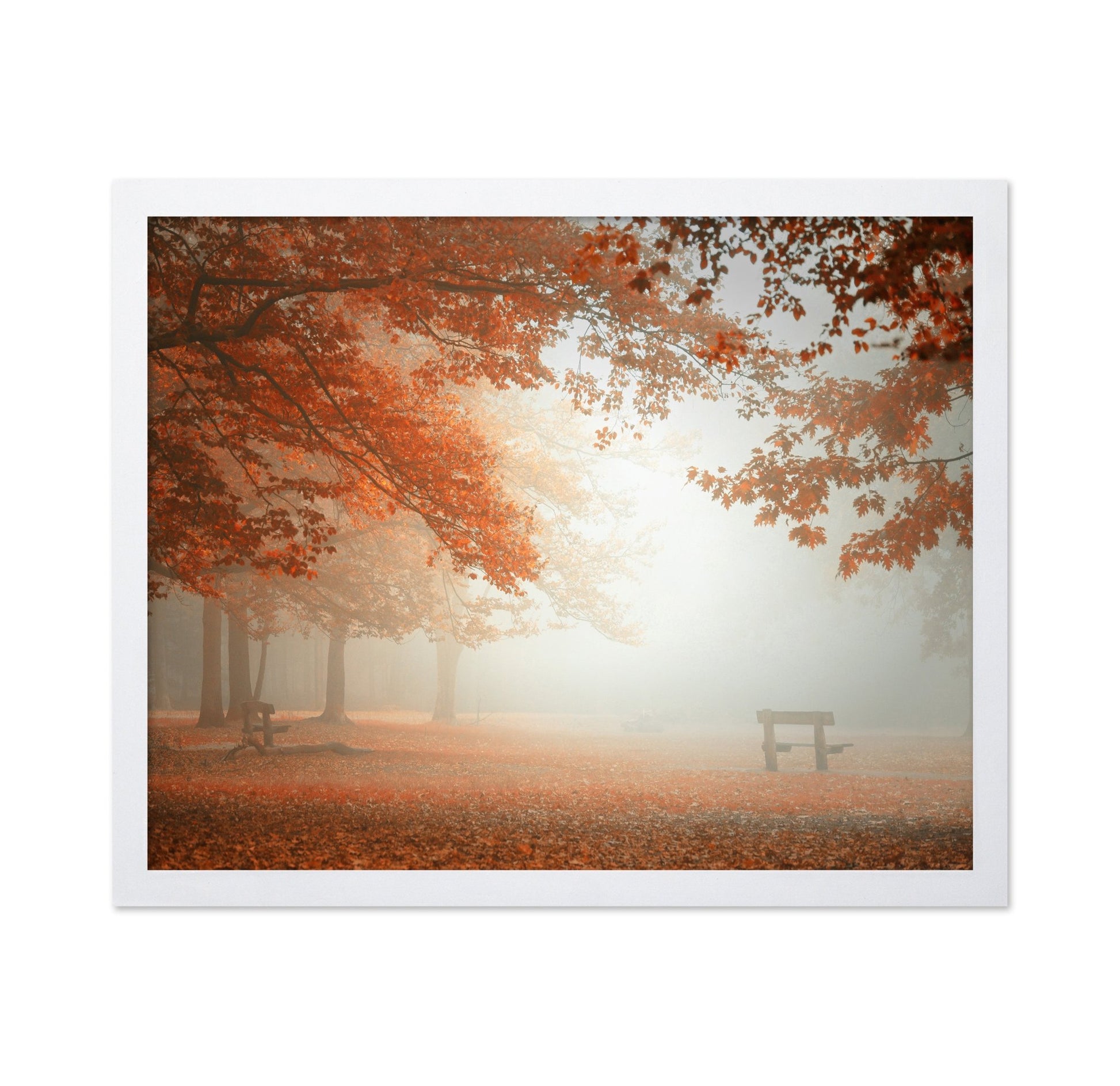 Autumn Mist Park