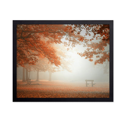 Autumn Mist Park