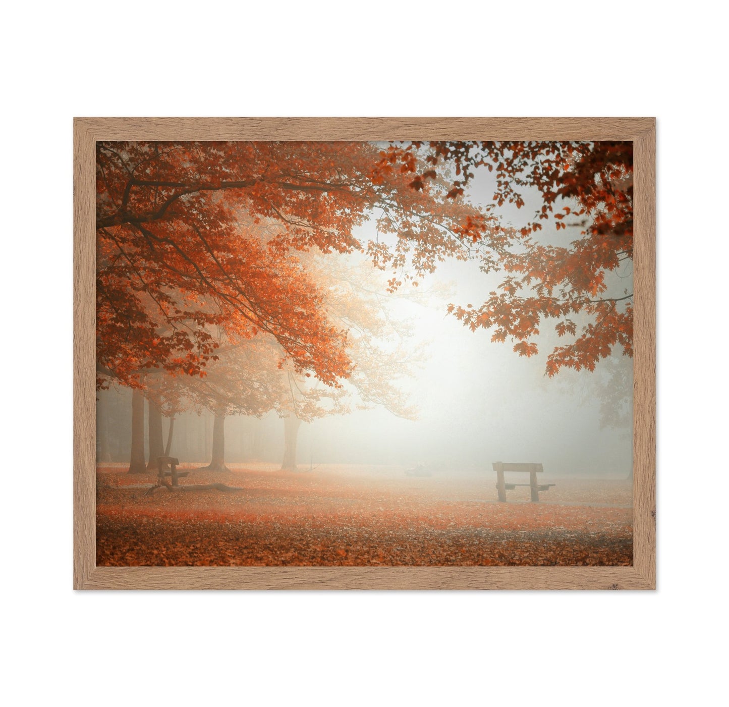 Autumn Mist Park