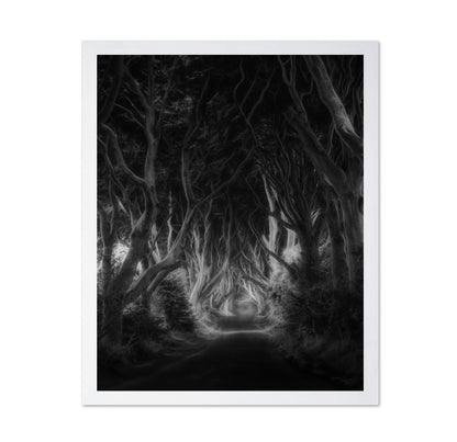 Dark Forest Tunnel
