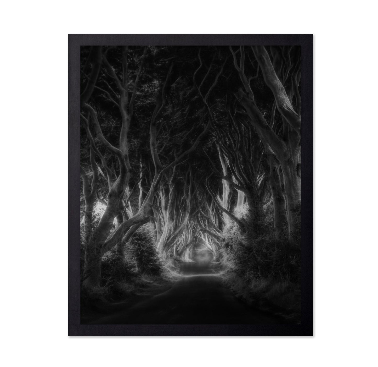 Dark Forest Tunnel
