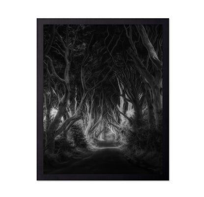 Dark Forest Tunnel